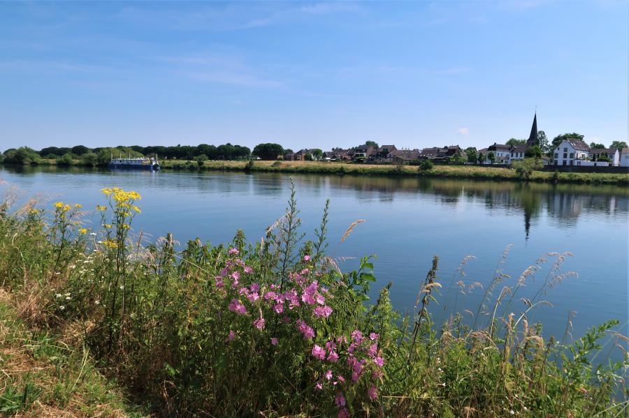 Een bijzondere drieslag