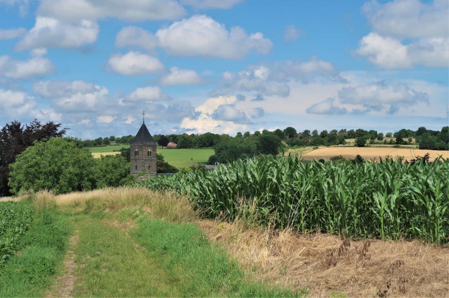 Meditatie-middag: Zaterdag 27 augustus in Mesch 