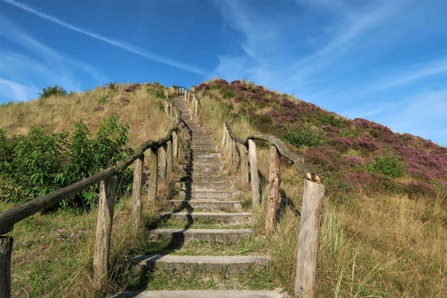 Haiku van 7 april...