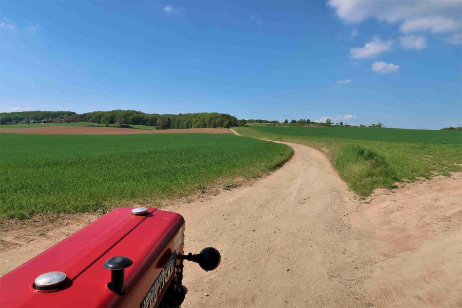 Haiku van 5 april...