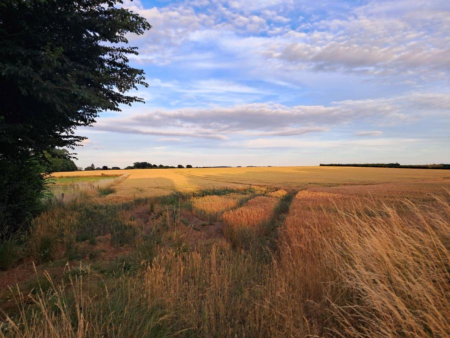 Haiku van 18 december...