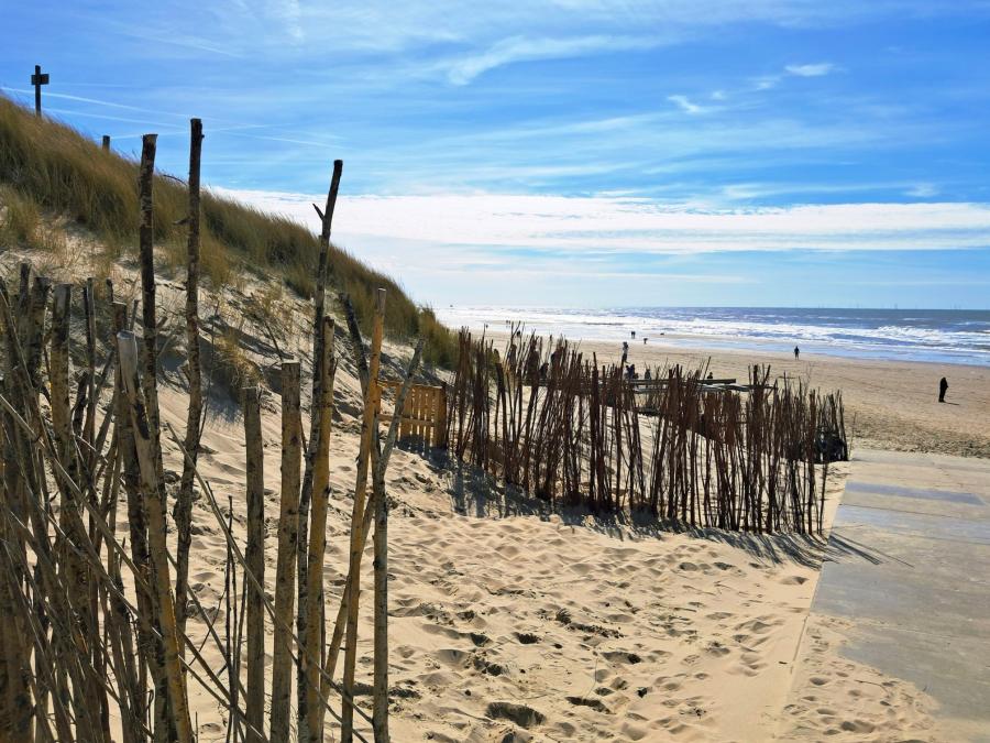 Haiku van 16 april...