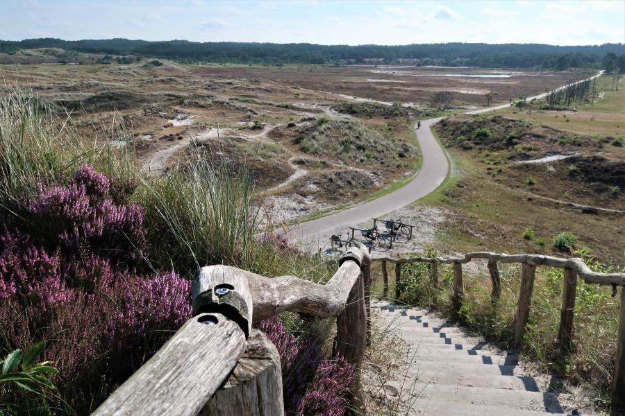 Haiku van 31 oktober...