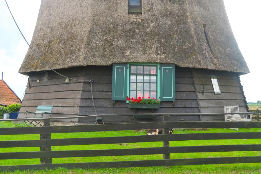 Haiku van 16 december...