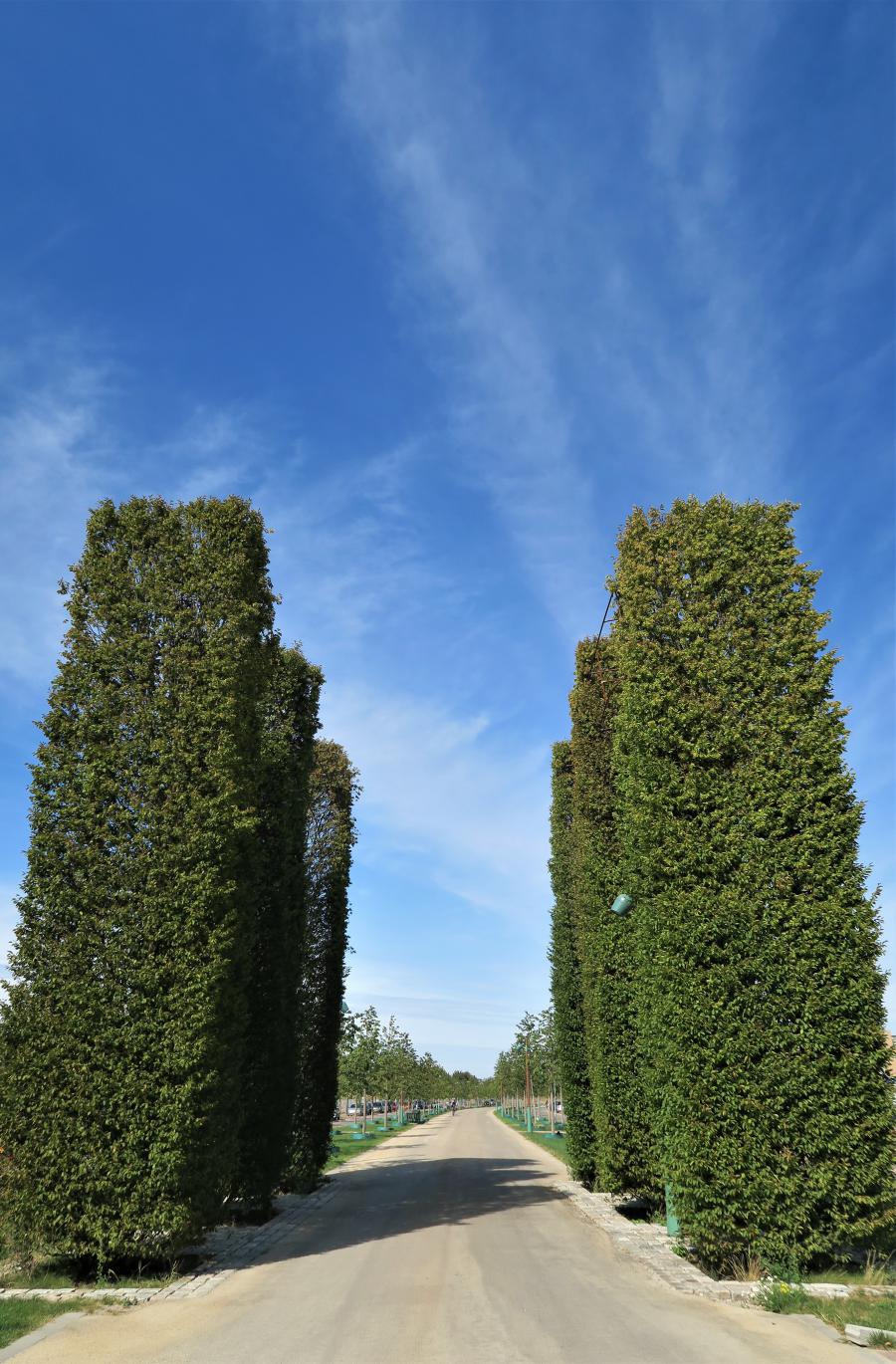 Meditatie avonden in Maastricht, oktober 2019
