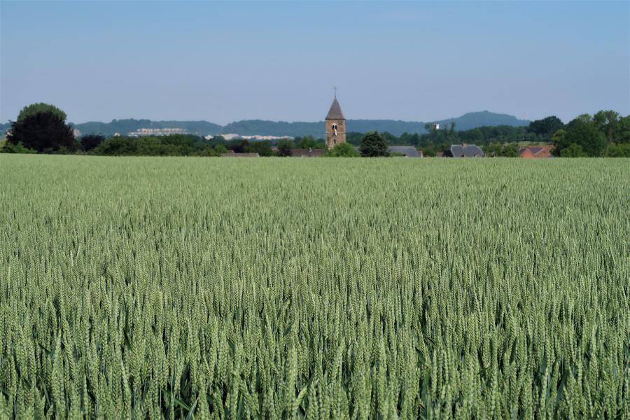 Meditatie in Mesch, zaterdag 26 juni